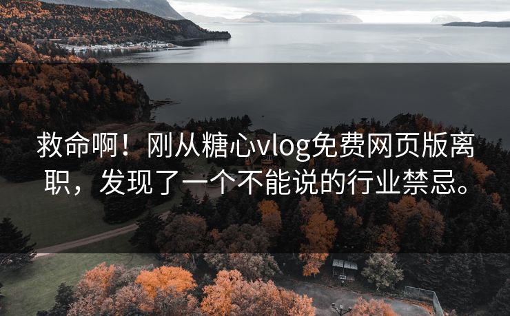 救命啊！刚从糖心vlog免费网页版离职，发现了一个不能说的行业禁忌。